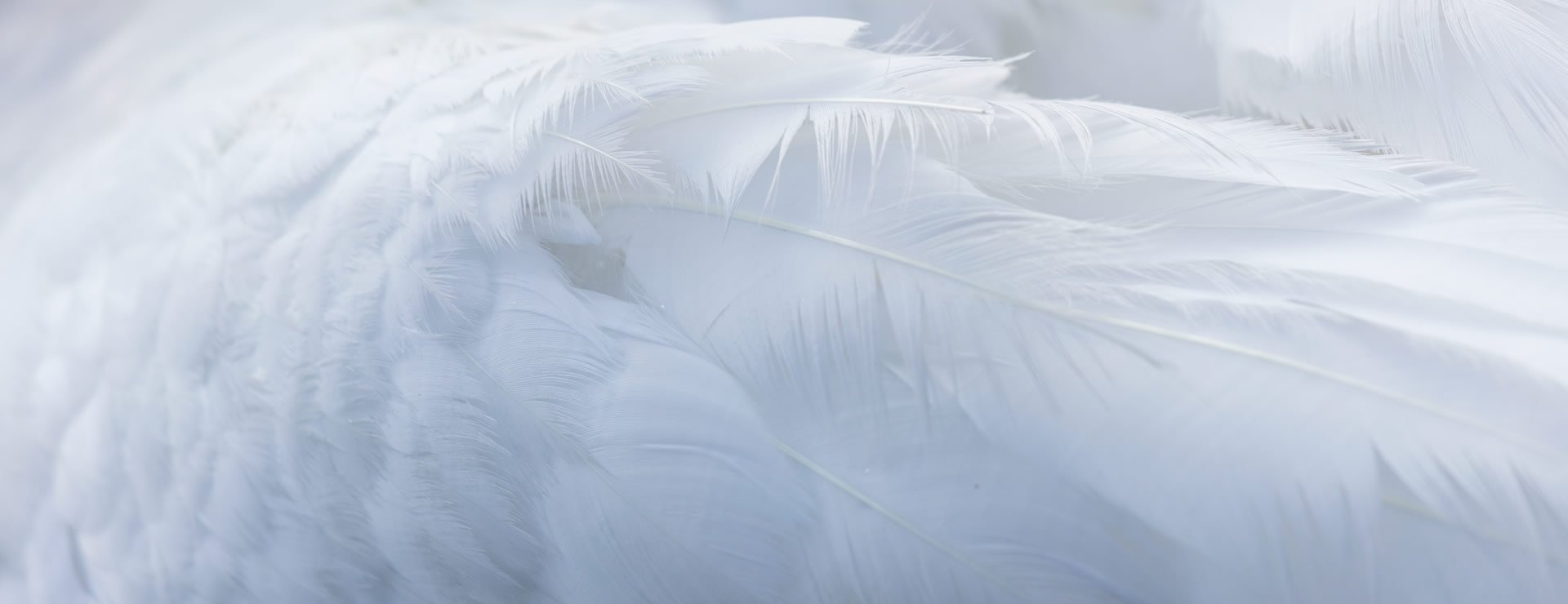 企業(yè)經(jīng)營之本，力求言行一致。